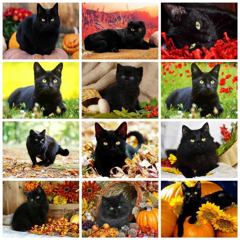 Huacan 5d Diamond Embroidery Painting Black Cat Hobby Diamond Mosaic Cross Stitch Kit Animal Decoration Bedroom 
Huacan 5d Diamond Embroidery Painting Black Cat Hobby Diamond Mosaic Cross Stitch Kit Animal Decoration Bedroom