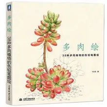 Chinese pencil drawing book 38 kinds of Succulent Plants painting color pencil drawing art book Tutorial art book