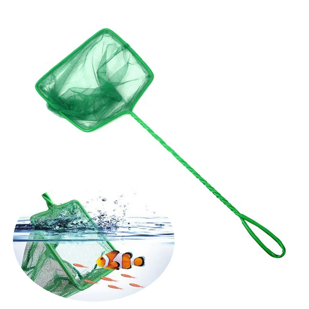 Aquarium Breeder Box Fish Tank Net Fish Net Handle Large Fish Net Fish Tank Net Aquarium Mesh Aquarium Fish Net
Aquarium Breeder Box Fish Tank Net Fish Net Handle Large Fish Net Fish Tank Net Aquarium Mesh Aquarium Fish Net