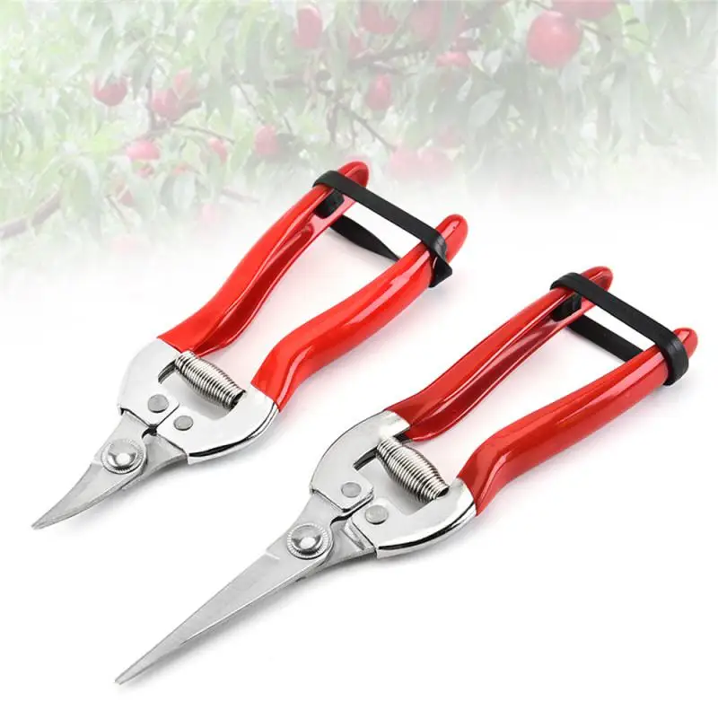 Gardening Hand Pruner Garden Scissors Pruning Shears Micro-Tip Pruning Snips Leaf Trimmer Straight Florist Scissor For Plants
Gardening Hand Pruner Garden Scissors Pruning Shears Micro-Tip Pruning Snips Leaf Trimmer Straight Florist Scissor For Plants