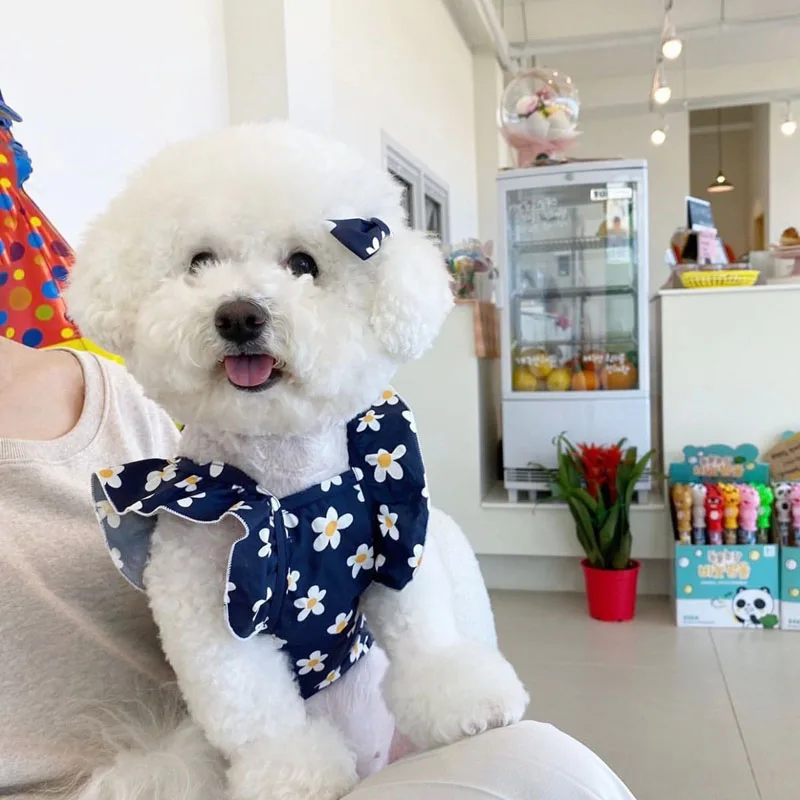 Small Floral Camisole Summer Thin Dog Clothes Puppy Yorkshire Chihuahua Bichon Pet Cat Dog Vest Skirt Small Dog Clothing
Small Floral Camisole Summer Thin Dog Clothes Puppy Yorkshire Chihuahua Bichon Pet Cat Dog Vest Skirt Small Dog Clothing