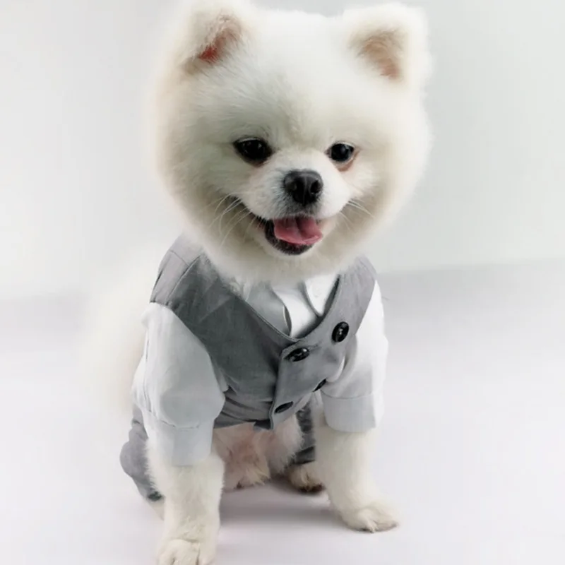 Dog Tuxedo Suit For Small Medium Breed Formal Tuxedo Vest With Bow Tie Dog Clothes Gentleman Pet Wedding Party Costume 
Dog Tuxedo Suit For Small Medium Breed Formal Tuxedo Vest With Bow Tie Dog Clothes Gentleman Pet Wedding Party Costume