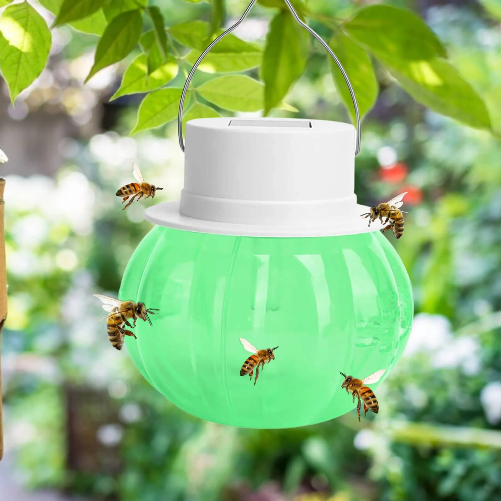 Bee Traps For Outside Bee Catcher TrapWasp Traps For Hunting Wasps Bees Hornets Yellow Jacket Traps Wasp Trap Catcher Reusable
Bee Traps For Outside Bee Catcher TrapWasp Traps For Hunting Wasps Bees Hornets Yellow Jacket Traps Wasp Trap Catcher Reusable