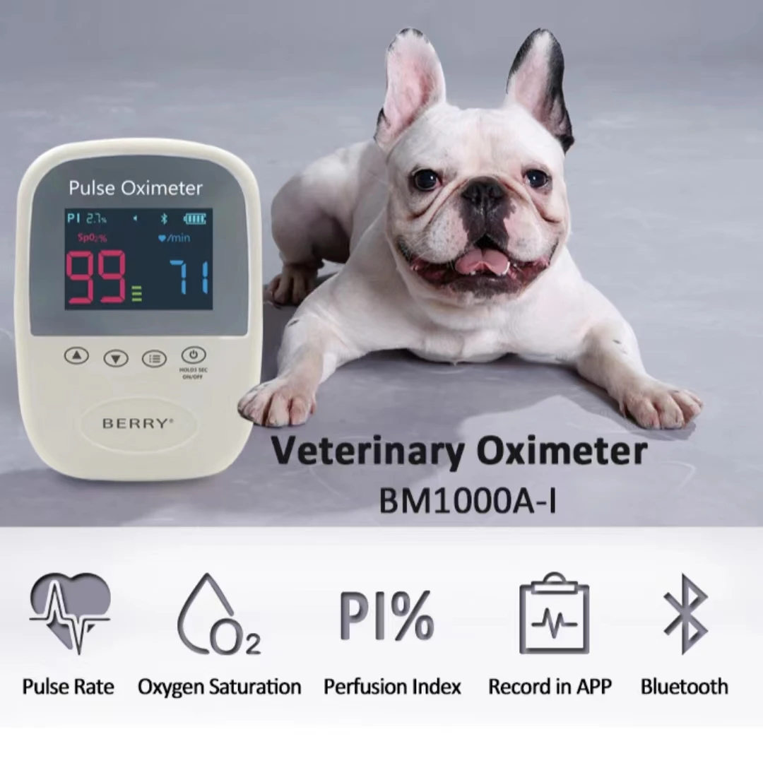 Veterinary Pulse Oximeter Palm Pulse Oximeter BM1000A-I Important And Accurate Device To Check Oxygen Saturation And Pulse Rate
Veterinary Pulse Oximeter Palm Pulse Oximeter BM1000A-I Important And Accurate Device To Check Oxygen Saturation And Pulse Rate
