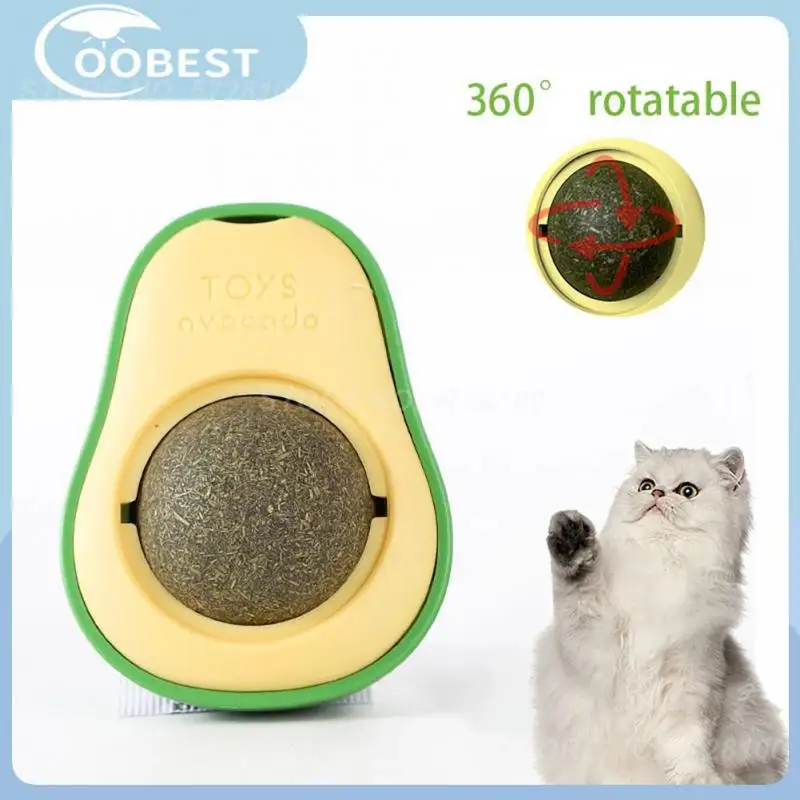 Catnip Ball Cat Toys Cat Supplies
Catnip Ball Cat Toys Cat Supplies