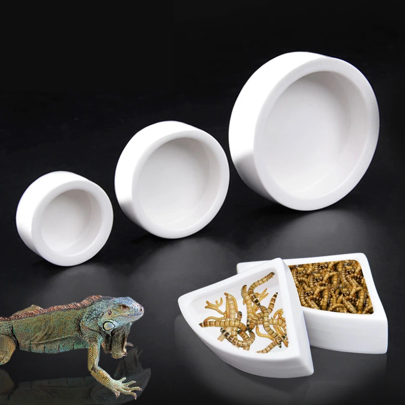 

1Pcs Ceramics Reptile Feeder Water Food Dish Feeding Bowl For Turtle Lizard Snake Basin Gecko Chameleon