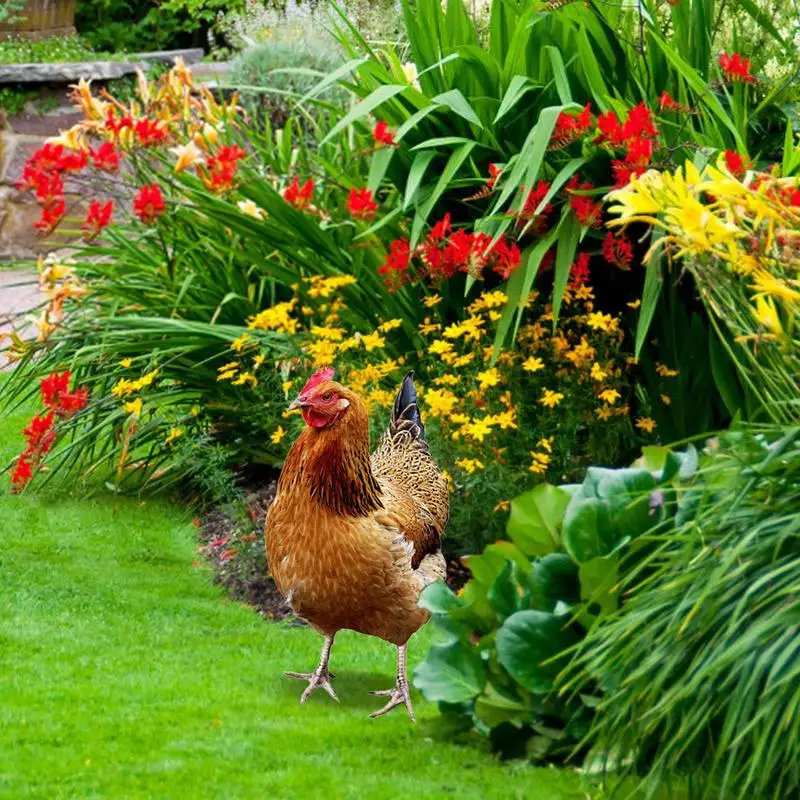 Hicken Yard Art 2D Acrylic Material Hen Chicken Statue Portable Durable Chicken Sculptures For Farm Garden Lawn Yard Balcony
Hicken Yard Art 2D Acrylic Material Hen Chicken Statue Portable Durable Chicken Sculptures For Farm Garden Lawn Yard Balcony