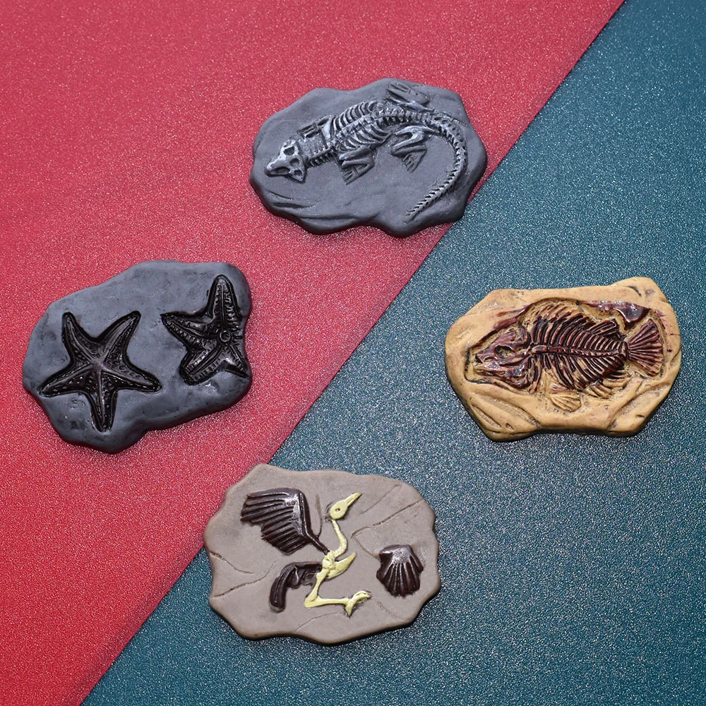 10pcs Simulation Dinosaur Fossil Archaeological Flat Back Resin Accessories Diy Craft Supply Kawaii Charms Sticker Material
10pcs Simulation Dinosaur Fossil Archaeological Flat Back Resin Accessories Diy Craft Supply Kawaii Charms Sticker Material