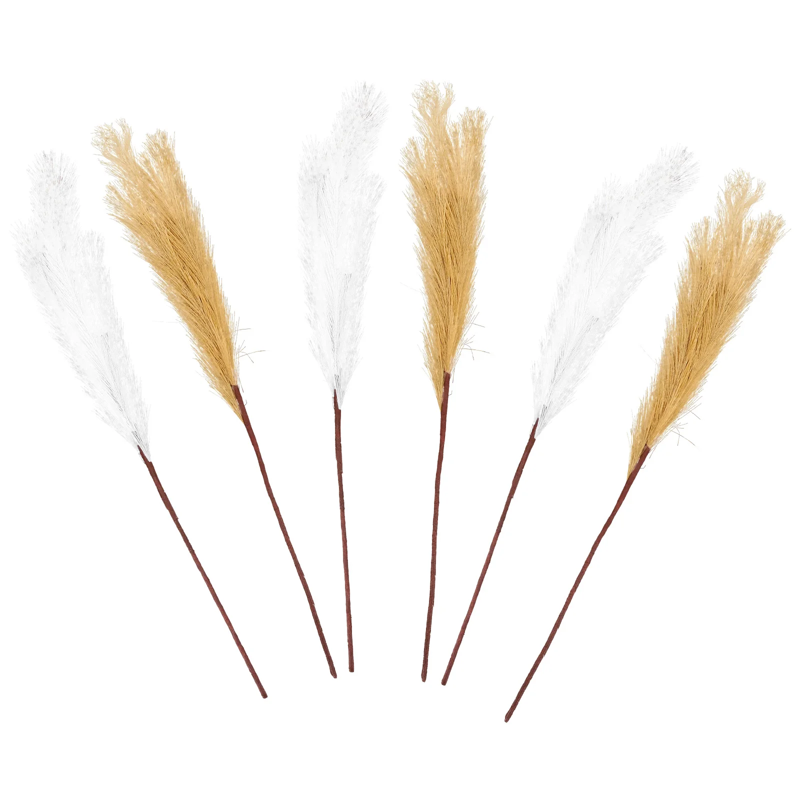 6Pcs Home Decors Dried Reed Decors Dried Reed DIY Flower Arrangement Decors 
6Pcs Home Decors Dried Reed Decors Dried Reed DIY Flower Arrangement Decors