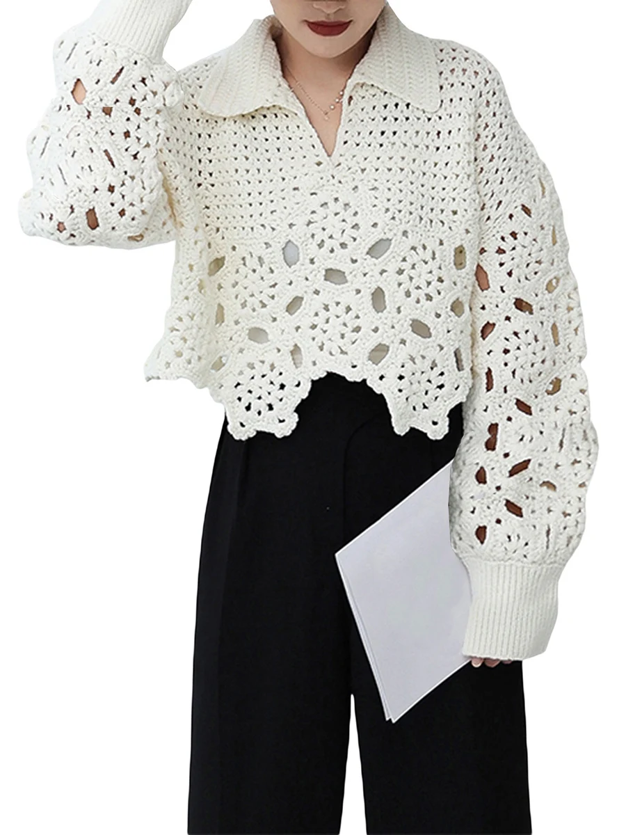 Women s Long Sleeve Knit Pullover Hollow Out Crop Top Crochet Blouse Tops Streetwear
Women s Long Sleeve Knit Pullover Hollow Out Crop Top Crochet Blouse Tops Streetwear