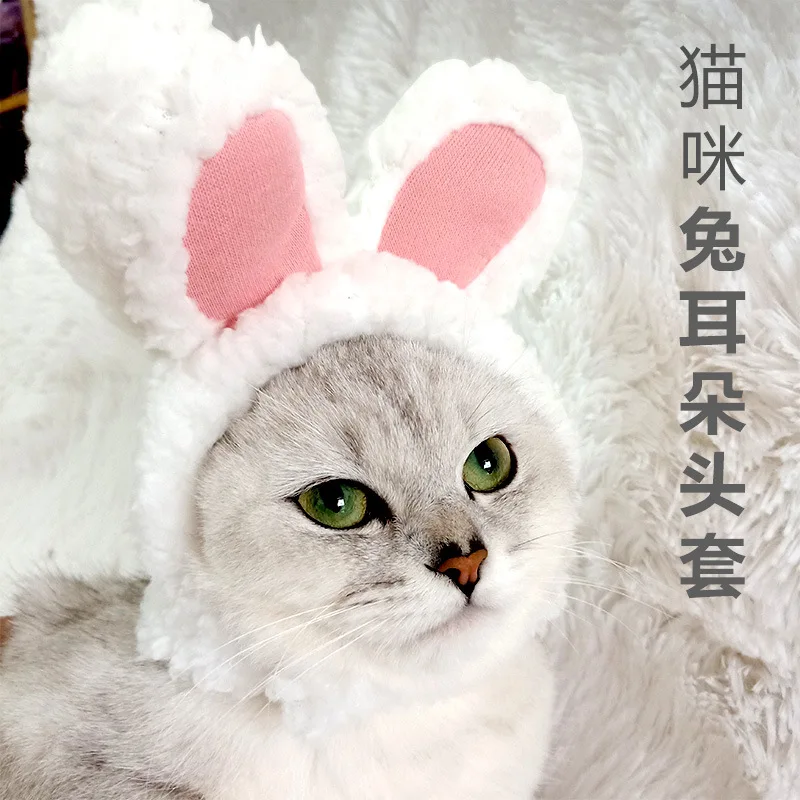 Cat Hat Bunny Hood Small Ears Cute Hat Dog Teddy Bichon Transformed Into English Short Garfield Headdress
Cat Hat Bunny Hood Small Ears Cute Hat Dog Teddy Bichon Transformed Into English Short Garfield Headdress