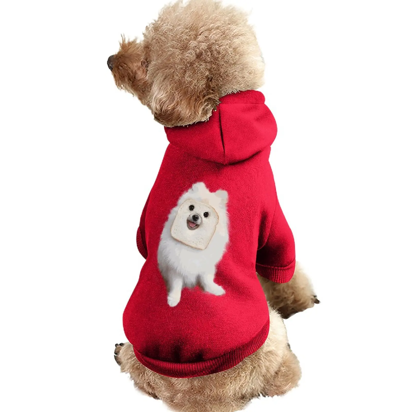 Customized Exclusive Pet Clothes Name Printed Pattern Puppy Clothes Chihuahua Puppy Clothes Kitten Clothes Lightweight
Customized Exclusive Pet Clothes Name Printed Pattern Puppy Clothes Chihuahua Puppy Clothes Kitten Clothes Lightweight