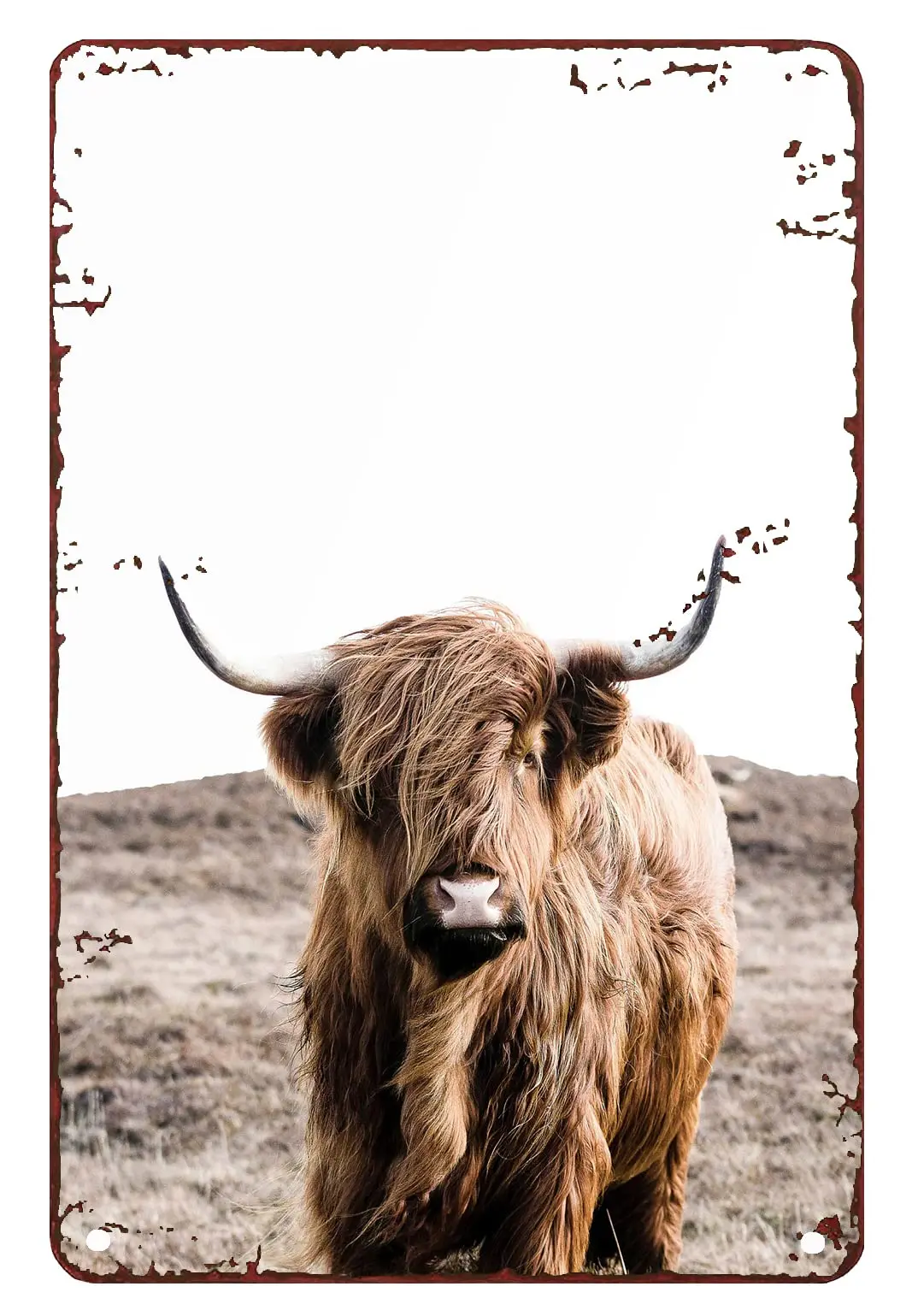 Highland Cow Decor Birthday Highland Cow Buffalo Print Cattle Farmhouse Tin Signs for Garage Tin Sign Art Wall Metal Decorations
Highland Cow Decor Birthday Highland Cow Buffalo Print Cattle Farmhouse Tin Signs for Garage Tin Sign Art Wall Metal Decorations