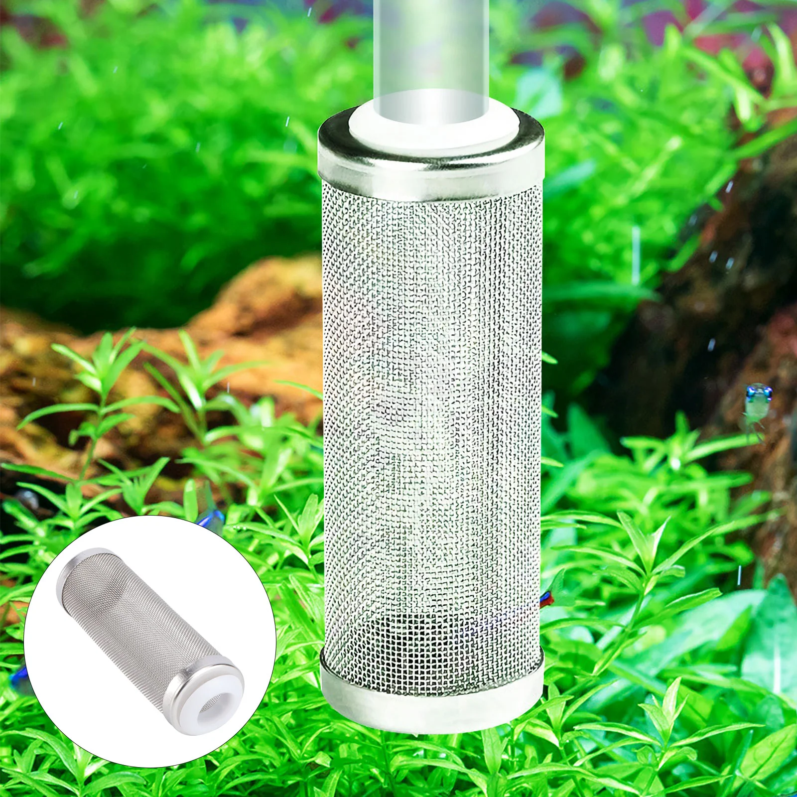 16mm Stainless Steel Mesh Filter Media Cover for Aquarium Percolator
16mm Stainless Steel Mesh Filter Media Cover for Aquarium Percolator
