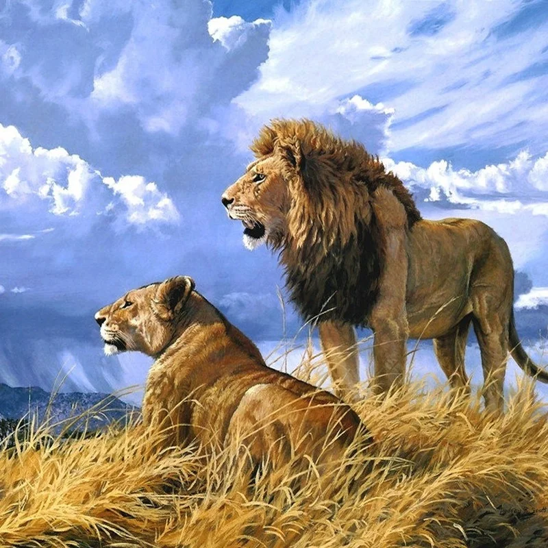 Diamond Painting Animal Lion 5d Diy Mosaic Full Square Round Drill Diamant Of Rhinestone Daimond Embroidery Pictures
Diamond Painting Animal Lion 5d Diy Mosaic Full Square Round Drill Diamant Of Rhinestone Daimond Embroidery Pictures