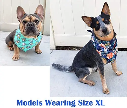 Hawaiian Hibiscus Reversible Dog Cat Puppy Bandana Bib Triangle Scarf for Small to Large Breed (X-Large)
Hawaiian Hibiscus Reversible Dog Cat Puppy Bandana Bib Triangle Scarf for Small to Large Breed (X-Large)