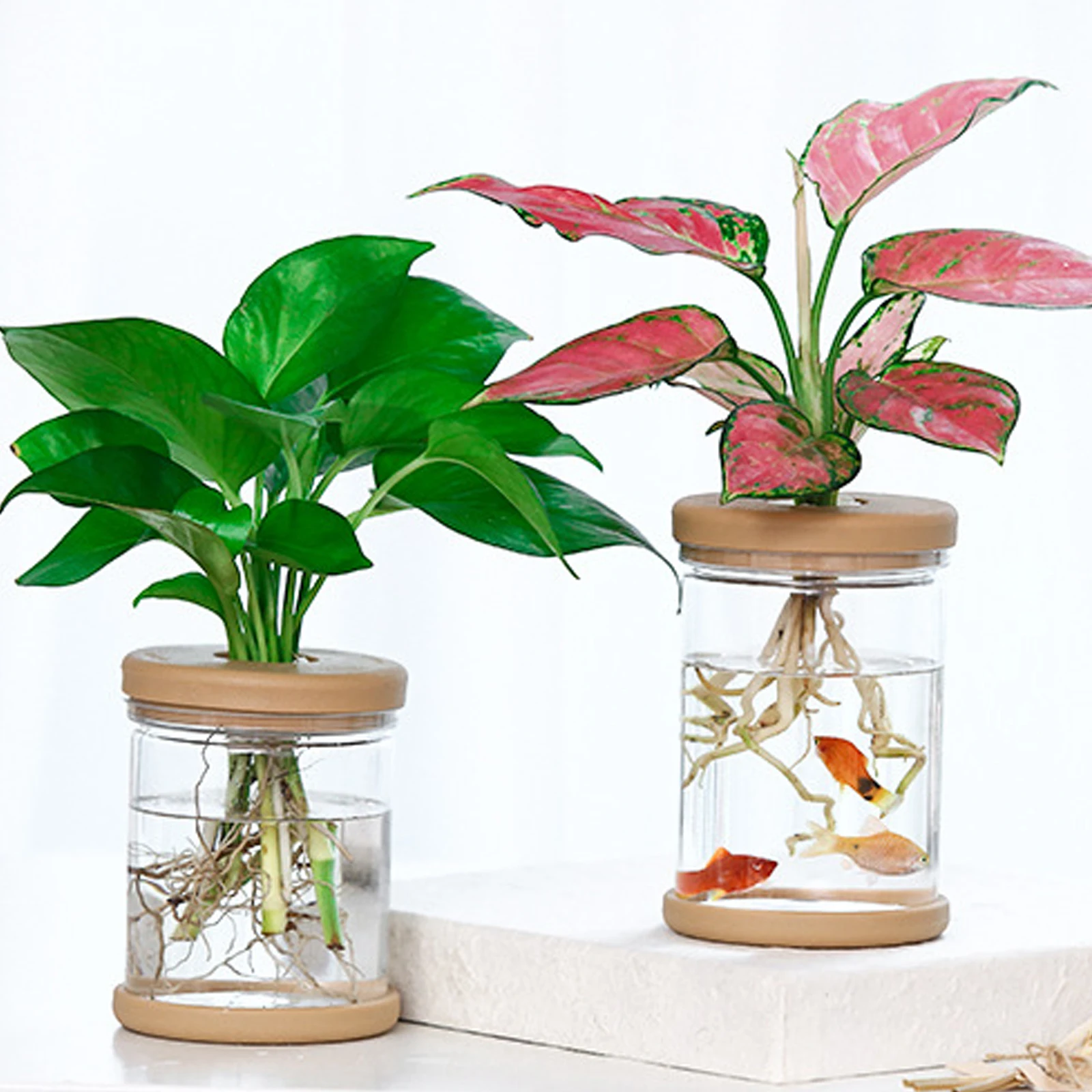 Durable Transparent Hydroponic Flower Pot Imitation Glass Soilless Planting Small Potted Green Plant Resin Flower Pot
Durable Transparent Hydroponic Flower Pot Imitation Glass Soilless Planting Small Potted Green Plant Resin Flower Pot