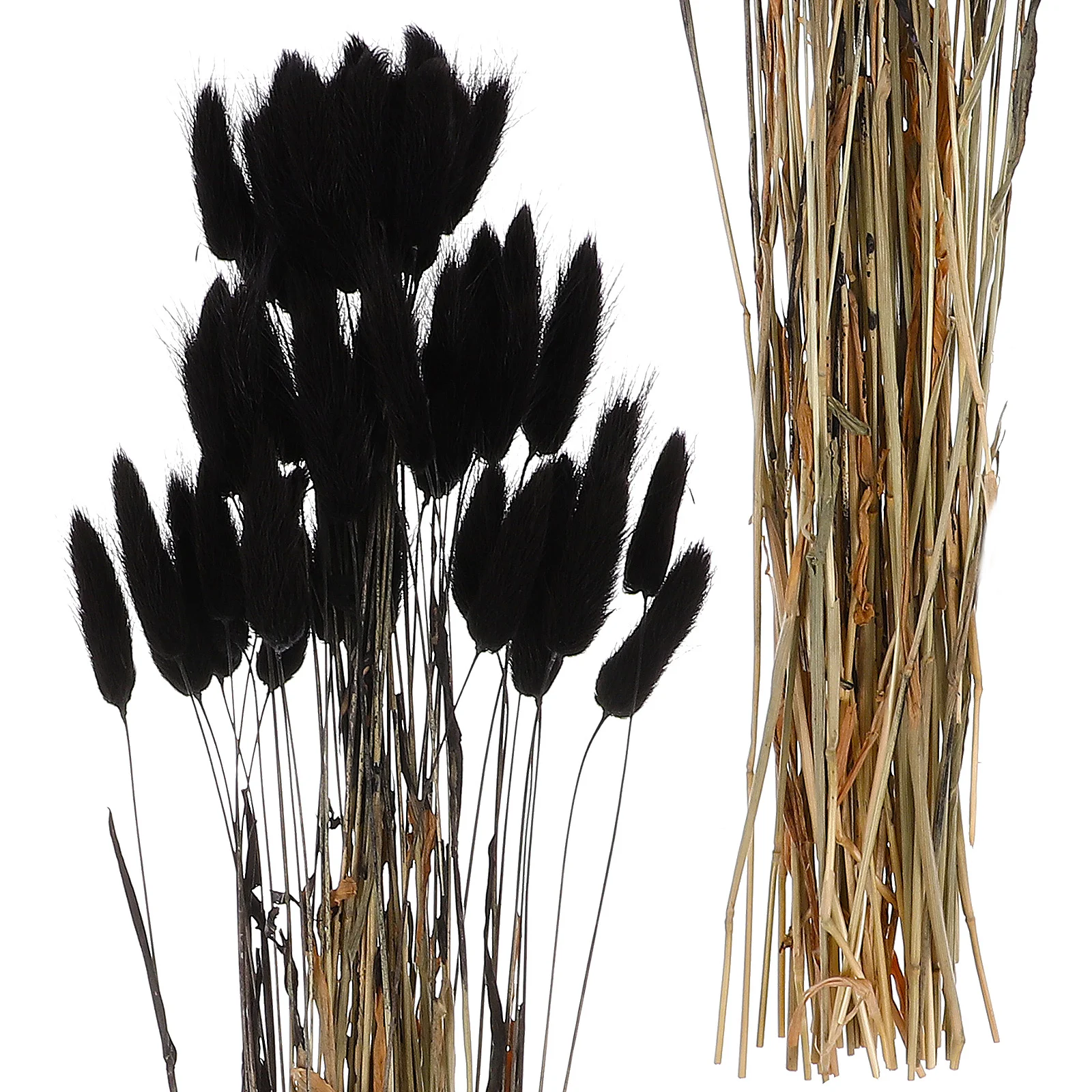 60 Pcs Black Black Wedding Decorations For Ceremony Dry Flowers Decoration Floral Arrangements Dried Household Gothic Grasses
60 Pcs Black Black Wedding Decorations For Ceremony Dry Flowers Decoration Floral Arrangements Dried Household Gothic Grasses