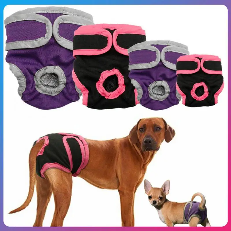 Washable Female Dog Diapers Reusable Doggie Diaper Wraps Physiological Pants Super-Absorbent Comfortable Dog Shorts Pet Products
Washable Female Dog Diapers Reusable Doggie Diaper Wraps Physiological Pants Super-Absorbent Comfortable Dog Shorts Pet Products