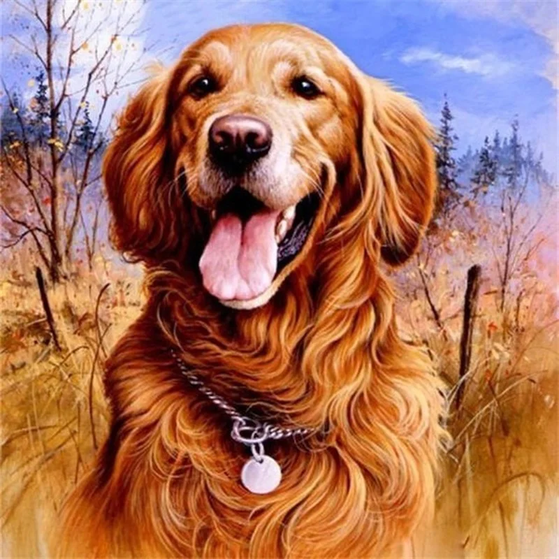 Diamond Painting Animal Golden Retriever Dog5d Diy Mosaic Full Square Round Drill Diamant Of Rhinestone Daimond Embroidery
Diamond Painting Animal Golden Retriever Dog5d Diy Mosaic Full Square Round Drill Diamant Of Rhinestone Daimond Embroidery