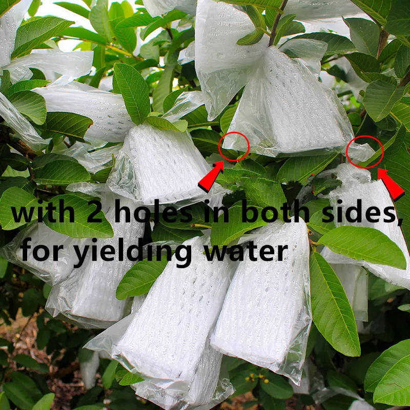 Guava Protection Cover Growing Bag Anti-Bird Insect Net Bag Pest Exclusion Fruit Protection Insect Bags
Guava Protection Cover Growing Bag Anti-Bird Insect Net Bag Pest Exclusion Fruit Protection Insect Bags