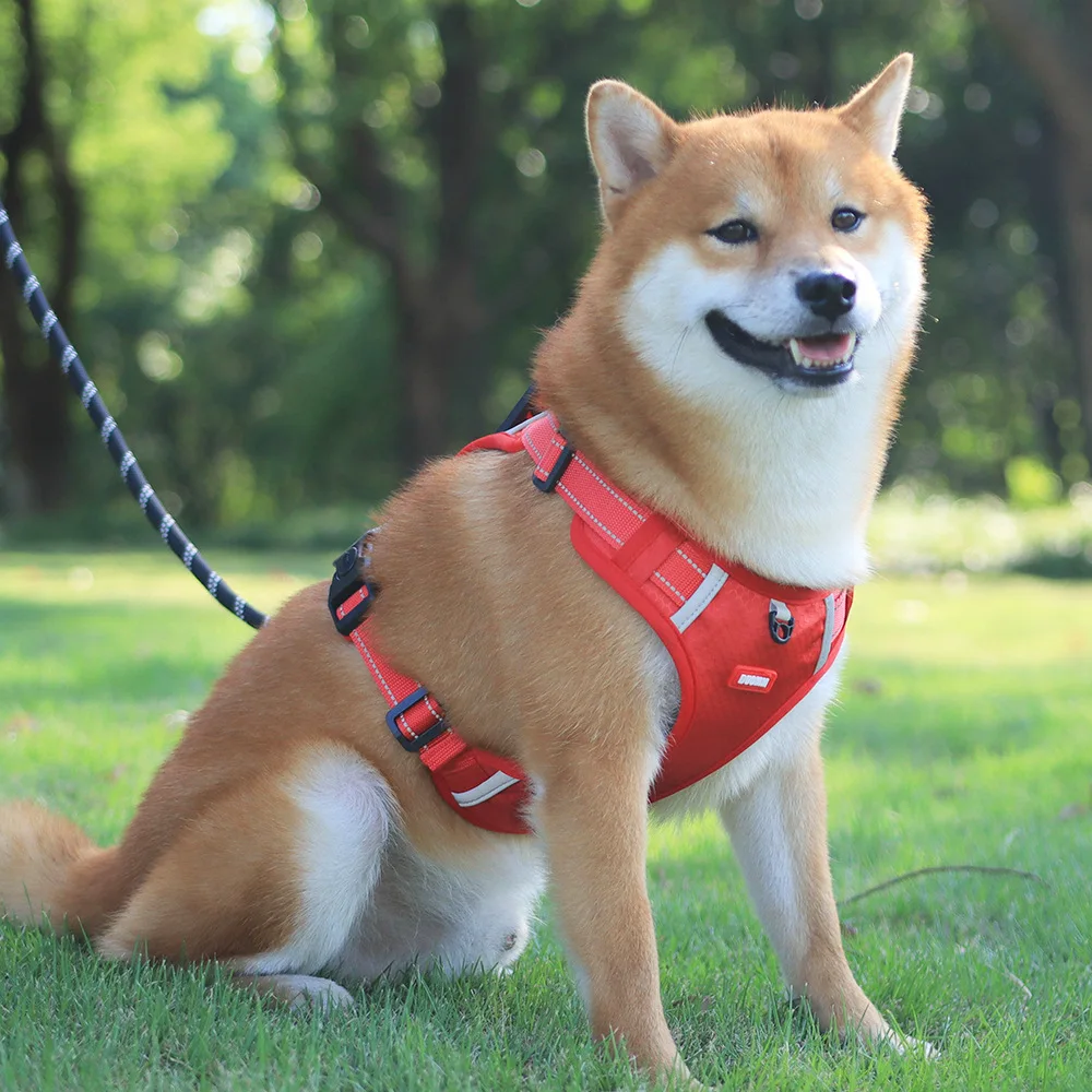 Chest Harness Pet Supplies Accessories Pet Chest Strap Braces Cat Dog Vest Breathable Reflective Walk Dog Chest Back Rope Collar
Chest Harness Pet Supplies Accessories Pet Chest Strap Braces Cat Dog Vest Breathable Reflective Walk Dog Chest Back Rope Collar