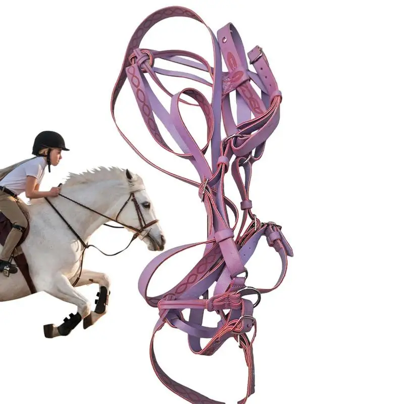 Halter Horse Heavy Duty Tied Halter Adjustable Horse Safety Halter Comfortable Padded Nylon Horse Halter Universal For Training
Halter Horse Heavy Duty Tied Halter Adjustable Horse Safety Halter Comfortable Padded Nylon Horse Halter Universal For Training