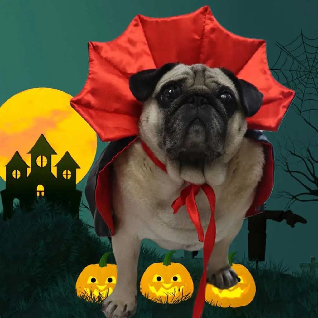 Halloween Adjustable Pet Cape Medium Animal Cloak Indoor Portable Breathable Cosplay Party Banquet Costume Pets Supplies
Halloween Adjustable Pet Cape Medium Animal Cloak Indoor Portable Breathable Cosplay Party Banquet Costume Pets Supplies
