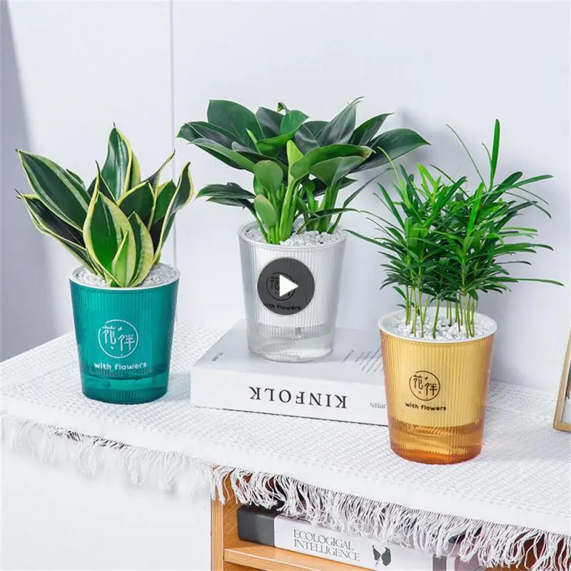Flower Pots And Planting Automatic Water Absorption High Appearance Self Absorbent Cotton Rope Plastic Self Watering Flower Pots
Flower Pots And Planting Automatic Water Absorption High Appearance Self Absorbent Cotton Rope Plastic Self Watering Flower Pots