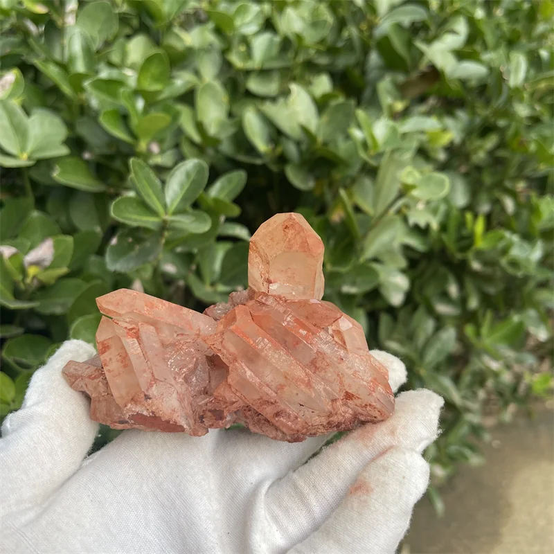245g Natural Red Quartz crystal cluster lucky decoration Healing Reiki Quartz Chakra Stone
245g Natural Red Quartz crystal cluster lucky decoration Healing Reiki Quartz Chakra Stone