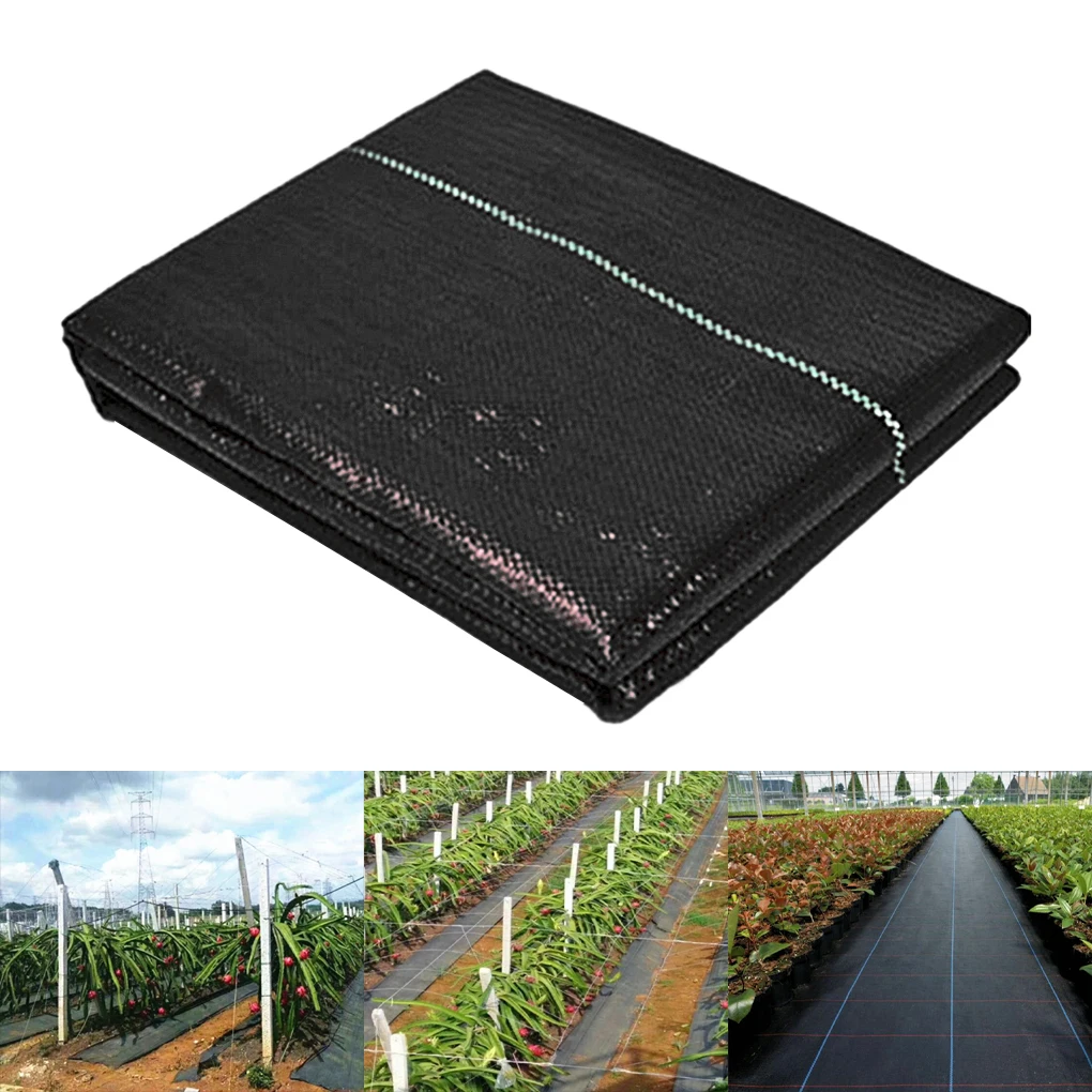 Camping Awning Durable Weed Barrier For Garden Needs Reduced Weed Growth Garden Buildings Protecting Soil Gardening
Camping Awning Durable Weed Barrier For Garden Needs Reduced Weed Growth Garden Buildings Protecting Soil Gardening