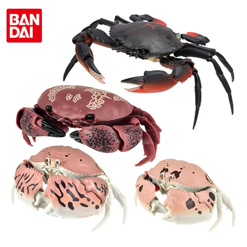 Гигантский морской организм Bandai Gashapon, Scylla Atergatis Floridus Calappa Lophos, шарнирная подвижная аниме экшн-фигурка, игрушки
Гигантский морской организм Bandai Gashapon, Scylla Atergatis Floridus Calappa Lophos, шарнирная подвижная аниме экшн-фигурка, игрушки