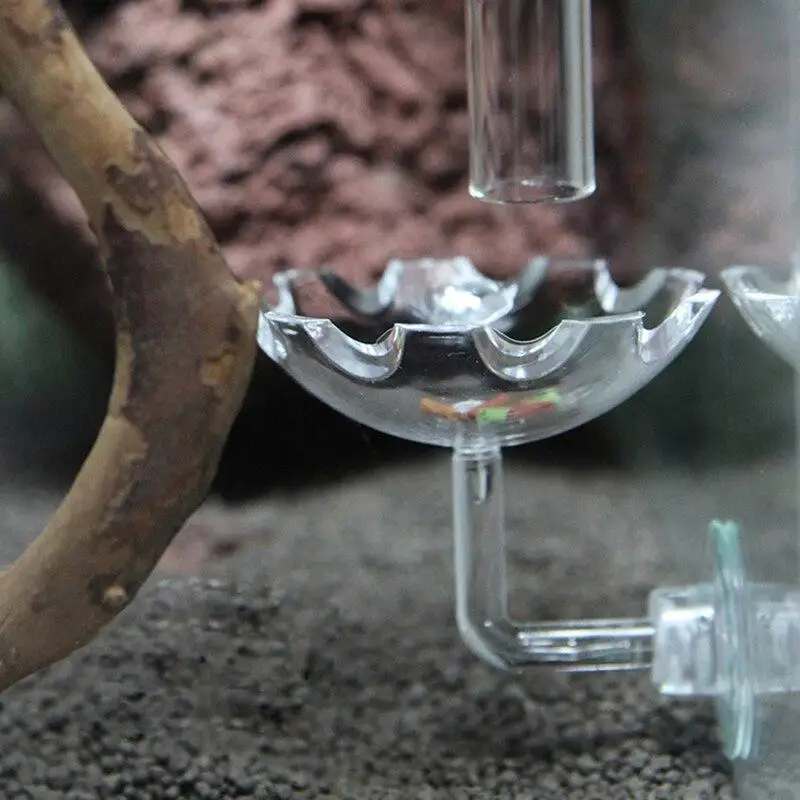 Shrimp Feeder Dish Shrimp Feed Dish Aquarium Fish Tank Shrimp Food Bowl Feeding Clear Glass Feeding Tube Dish Suction Accessory
Shrimp Feeder Dish Shrimp Feed Dish Aquarium Fish Tank Shrimp Food Bowl Feeding Clear Glass Feeding Tube Dish Suction Accessory