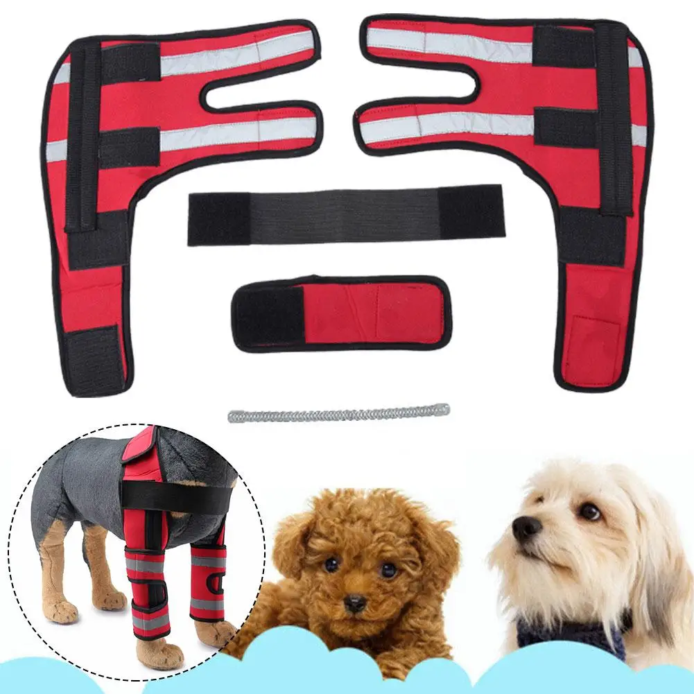 New Dog Elbow Brace Protector Anti-Lick Wound Soft Breathable Pain Relief Shoulder Support Elbow Sleeves Pads for Canine El A0Z6
New Dog Elbow Brace Protector Anti-Lick Wound Soft Breathable Pain Relief Shoulder Support Elbow Sleeves Pads for Canine El A0Z6