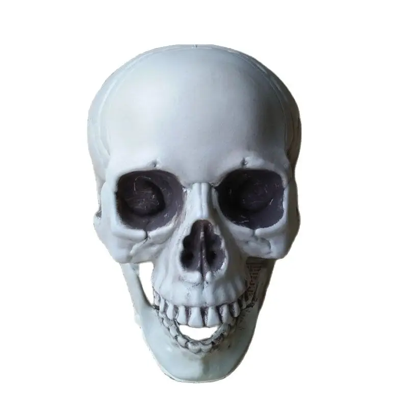 Plastic Skull Bone Scary Horror Skeleton Artificial Skull Head Model Statues Sculptures Halloween Decorations Party Bar Ornament
Plastic Skull Bone Scary Horror Skeleton Artificial Skull Head Model Statues Sculptures Halloween Decorations Party Bar Ornament