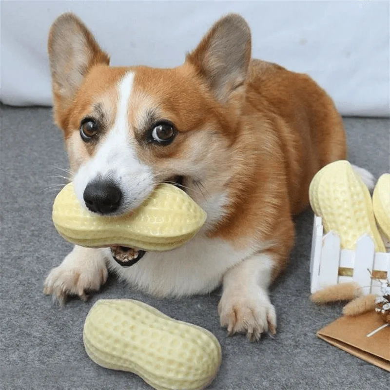 Pet Dog Voice Toy Peanut Relief Device Molar Bite Resistant Corgi Teddy Shiba Small Dog Toy Ball
Pet Dog Voice Toy Peanut Relief Device Molar Bite Resistant Corgi Teddy Shiba Small Dog Toy Ball