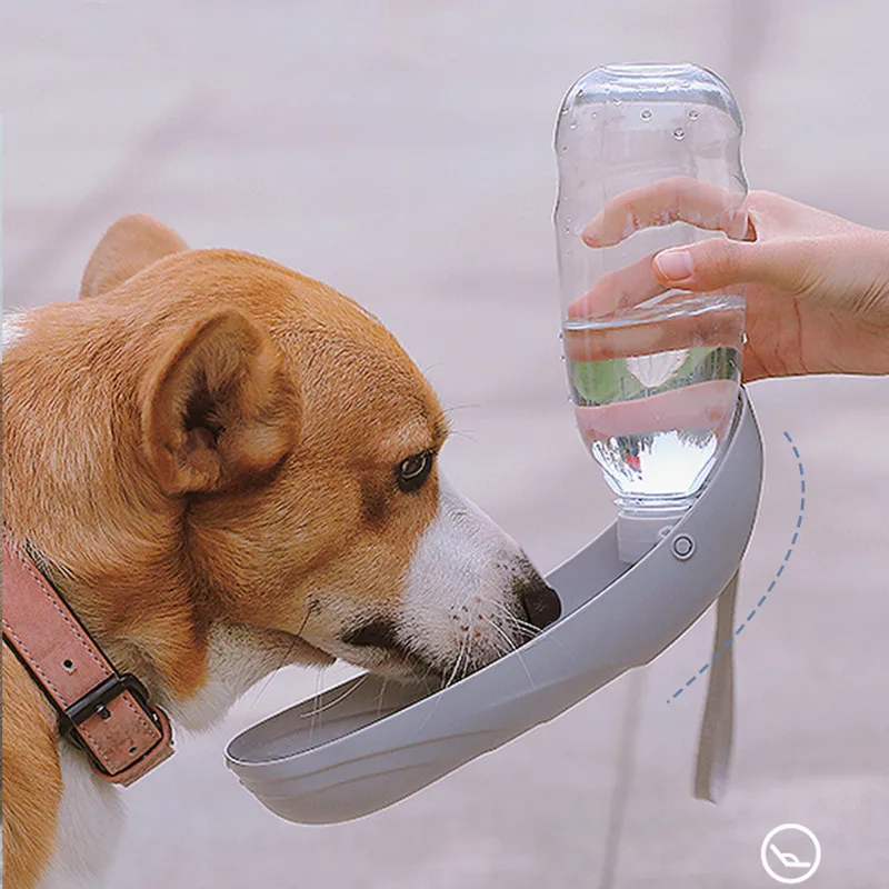 Dogs Go Out Kettle Drinker Portable Water Cup Drinking Water Feeder Pet Accompanying Cup Water Bottle Walking Dog Supplie 2022
Dogs Go Out Kettle Drinker Portable Water Cup Drinking Water Feeder Pet Accompanying Cup Water Bottle Walking Dog Supplie 2022