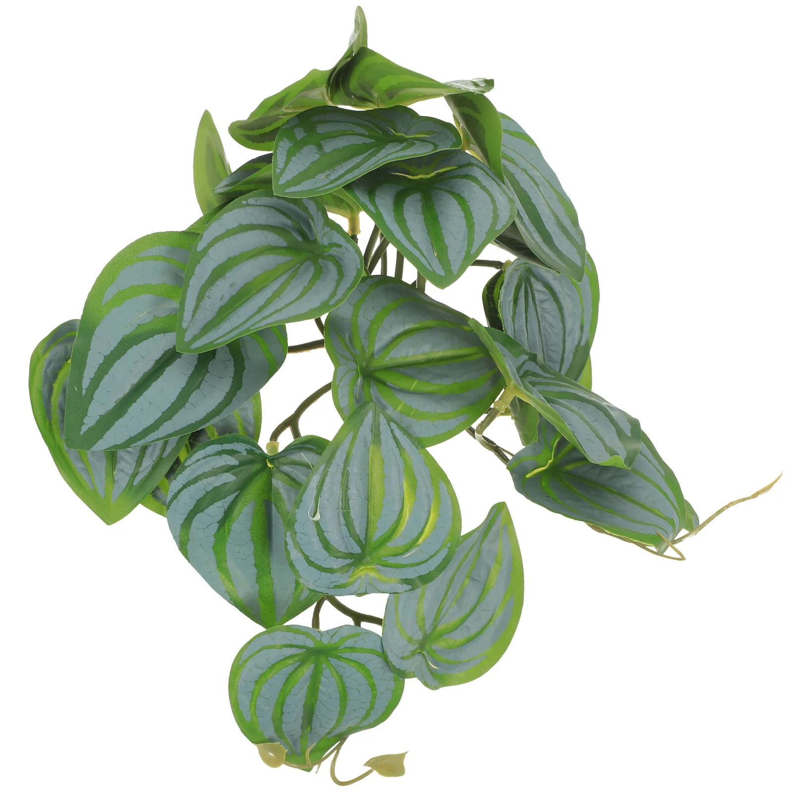 Reptiletank Terrarium Ornaments Hanging Fish Aquarium Decorations Lizard Vines Landscaping Artificial Boxlandscape Simulation
Reptiletank Terrarium Ornaments Hanging Fish Aquarium Decorations Lizard Vines Landscaping Artificial Boxlandscape Simulation