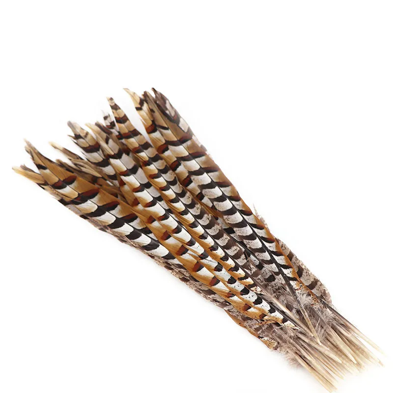 Wholesale 50pcs/lot Natural color Lady Amherst Pheasant Feathers 40-45cm/16-18inches Wedding Party Accessories Plumes
Wholesale 50pcs/lot Natural color Lady Amherst Pheasant Feathers 40-45cm/16-18inches Wedding Party Accessories Plumes