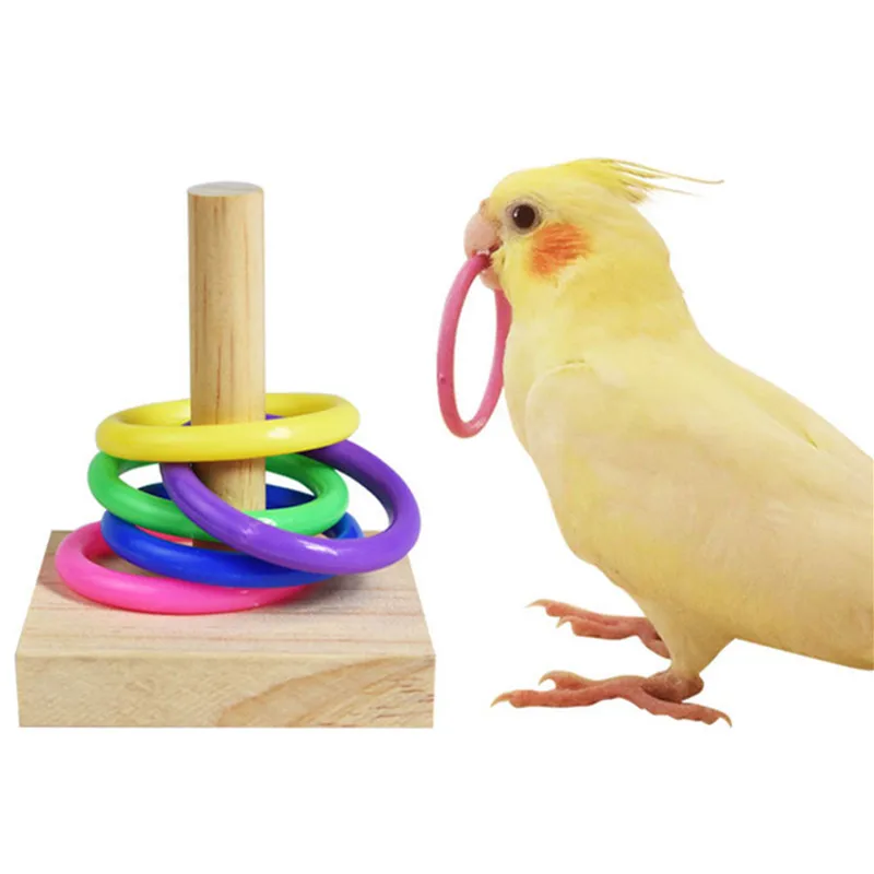 Set For Puzzle Toys Bird Parrots Plastic Chew Block Intelligence Rings Training Bird Toys Training Wooden Toy Colorful Supplies
Set For Puzzle Toys Bird Parrots Plastic Chew Block Intelligence Rings Training Bird Toys Training Wooden Toy Colorful Supplies