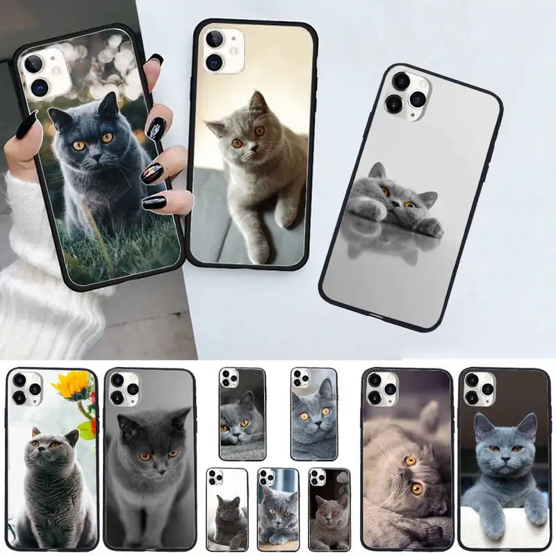 British Shorthair cat cute animal Phone Case For iphone 12 11 13 7 8 6 s plus x xs xr pro max mini shell
British Shorthair cat cute animal Phone Case For iphone 12 11 13 7 8 6 s plus x xs xr pro max mini shell