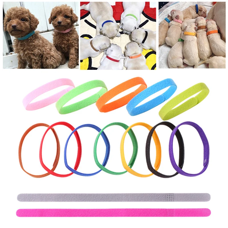 Colorful Identification ID Collars Whelp Kitten Dog Cat Velvet Practical Nylon Reusable Puppy ID Collar Pet Supplies 15PCS/SET
Colorful Identification ID Collars Whelp Kitten Dog Cat Velvet Practical Nylon Reusable Puppy ID Collar Pet Supplies 15PCS/SET