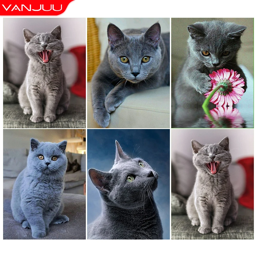 Алмазная 5D картина с котом, полная картина, бриллиантовая вышивка, стразы для творчества, домашний декор, подарок
Алмазная 5D картина с котом, полная картина, бриллиантовая вышивка, стразы для творчества, домашний декор, подарок