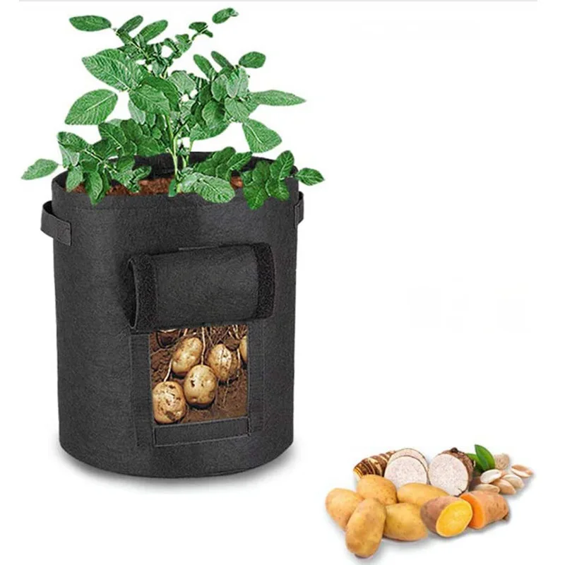 2Pcs 3 Size Felt Plant Grow Bag Nonwoven Fabric Home Vertical Garden Potato Pot Greenhouse Vegetable Jardinage Growing Bags Tool
2Pcs 3 Size Felt Plant Grow Bag Nonwoven Fabric Home Vertical Garden Potato Pot Greenhouse Vegetable Jardinage Growing Bags Tool