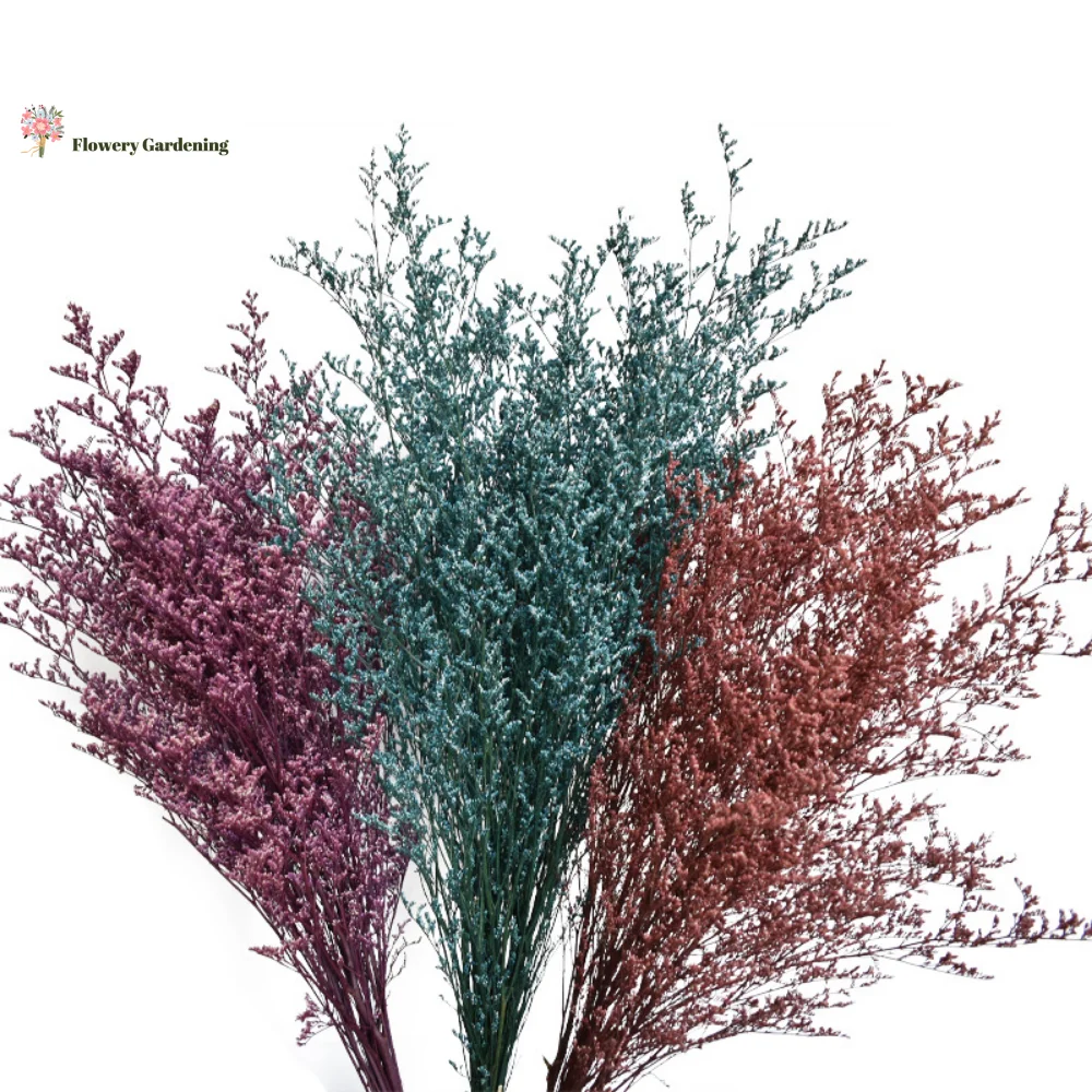 60/120g Dry Lover Grass Natural Dried Flowers Lovegrass Bouquet Valentine's Grass Wedding Decor Preserved Flowers DIY Home Decor
60/120g Dry Lover Grass Natural Dried Flowers Lovegrass Bouquet Valentine's Grass Wedding Decor Preserved Flowers DIY Home Decor