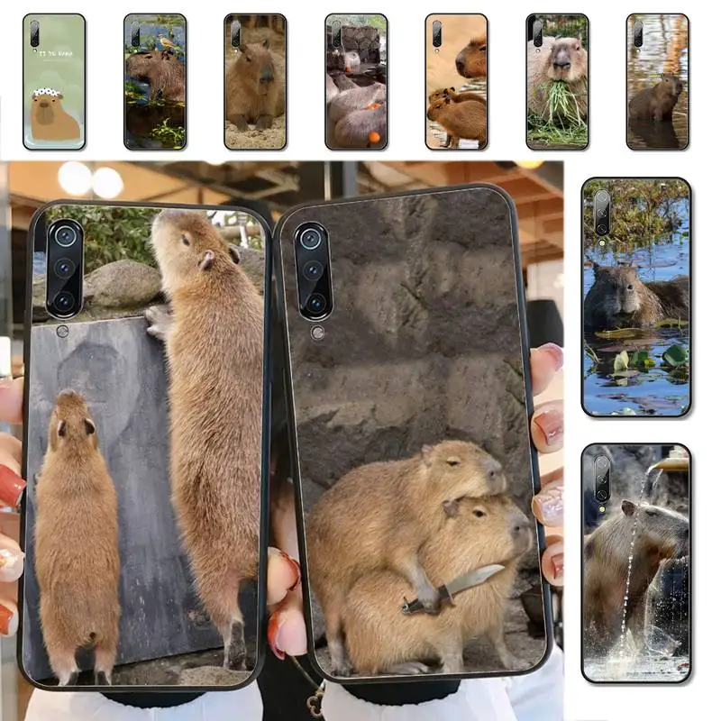 Animal Funny Capybara Phone Case for Xiaomi mi 5 6 8 9 10 lite pro SE Mix 2s 3 F1 Max2 3
Animal Funny Capybara Phone Case for Xiaomi mi 5 6 8 9 10 lite pro SE Mix 2s 3 F1 Max2 3