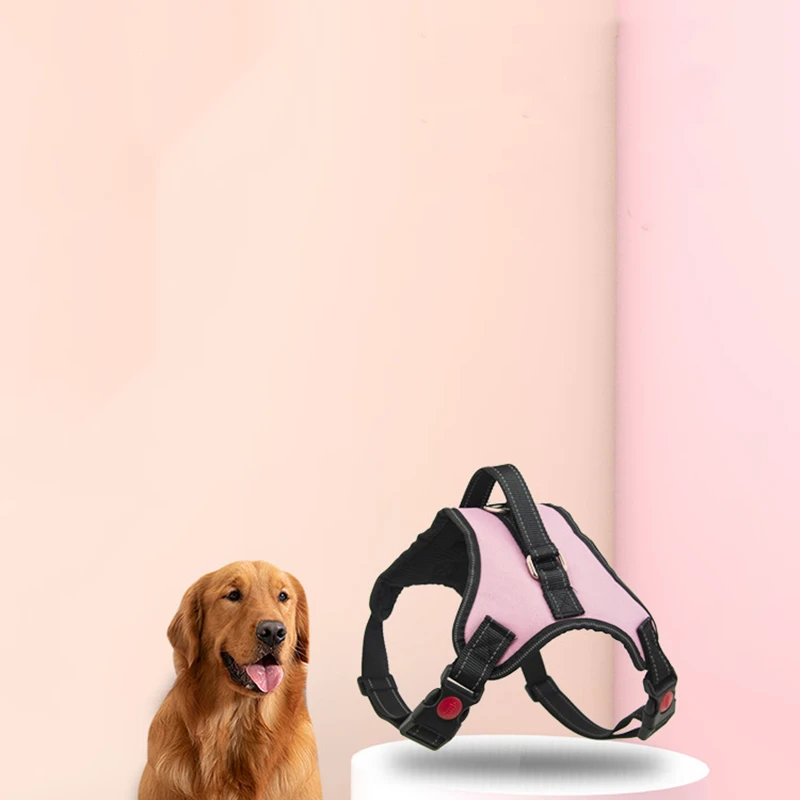 New Dog Cat Leash Double Buckle Nylon Chest Back Small and Medium-sized Dog Walking Retractable Adjustable Vest Dog Accessories
New Dog Cat Leash Double Buckle Nylon Chest Back Small and Medium-sized Dog Walking Retractable Adjustable Vest Dog Accessories