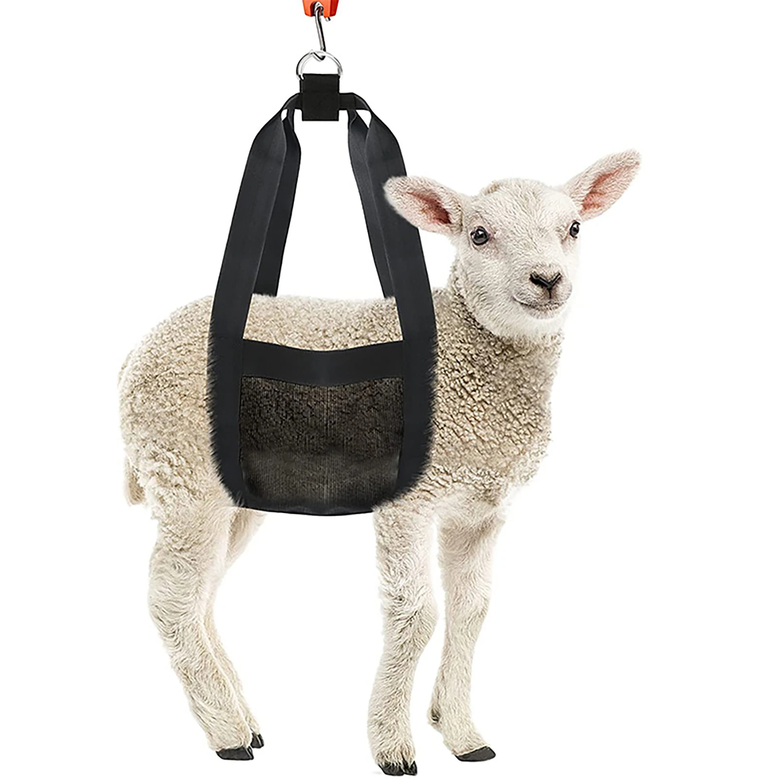 Pet Spreader Calf Scale Sling Ergonomic and Adjustable Scale Sling for Lambs Goats and Baby Alpacas 
Pet Spreader Calf Scale Sling Ergonomic and Adjustable Scale Sling for Lambs Goats and Baby Alpacas