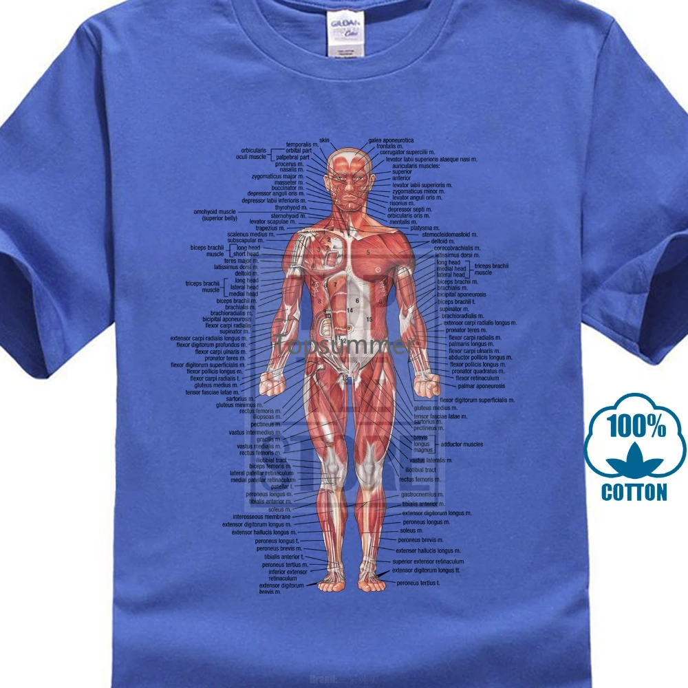 Muscular System T Shirt Anatomical Biology Anatomy Medical New Brand Clothing O Neck Short Sleeves Boy Cotton Men Funny Tshirt
Muscular System T Shirt Anatomical Biology Anatomy Medical New Brand Clothing O Neck Short Sleeves Boy Cotton Men Funny Tshirt