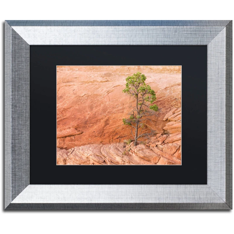 "Lone Survivor" Canvas Art by Michael Blanchette Photography Black Matte, Silver Frame
"Lone Survivor" Canvas Art by Michael Blanchette Photography Black Matte, Silver Frame